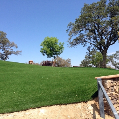 Synthetic Turf Valley Center California Landscape Recreational