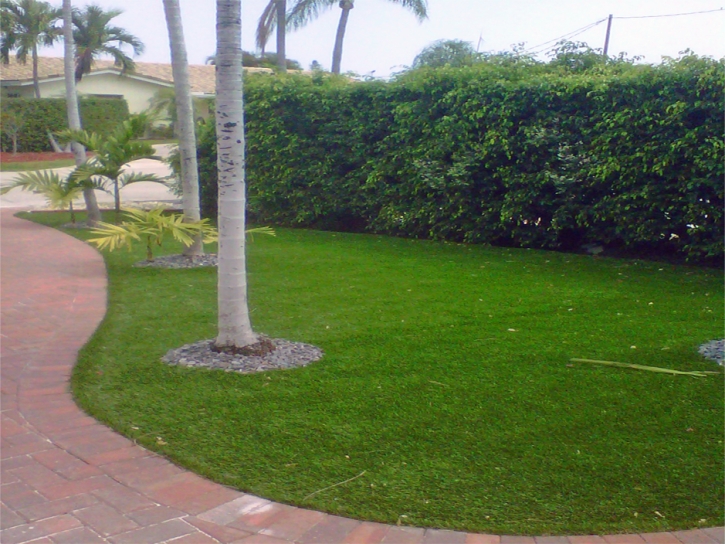 Artificial Grass Aguanga California Landscape Fountans