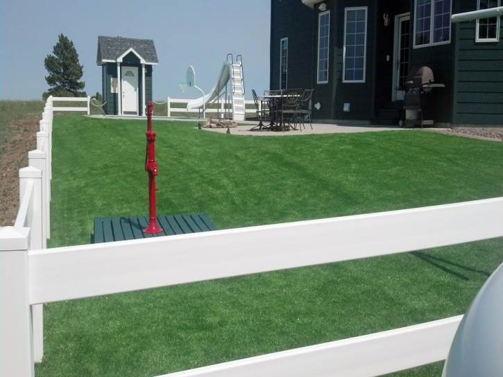 Artificial Grass Aliso Viejo California Landscape