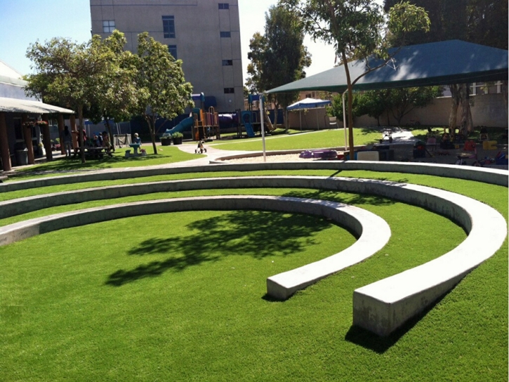 Artificial Grass Bostonia California School Front Yard