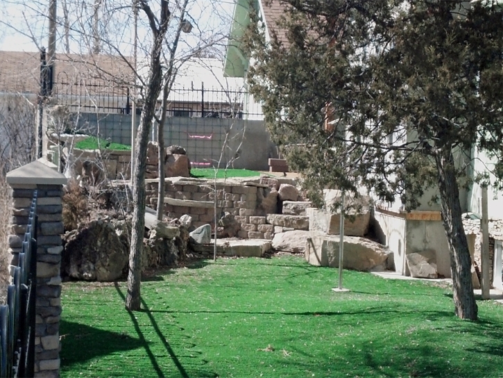 Artificial Grass Canyon Lake California Lawn Back Yard