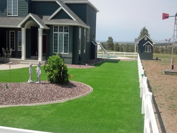 Artificial Grass Canyon Lake California Landscape Back