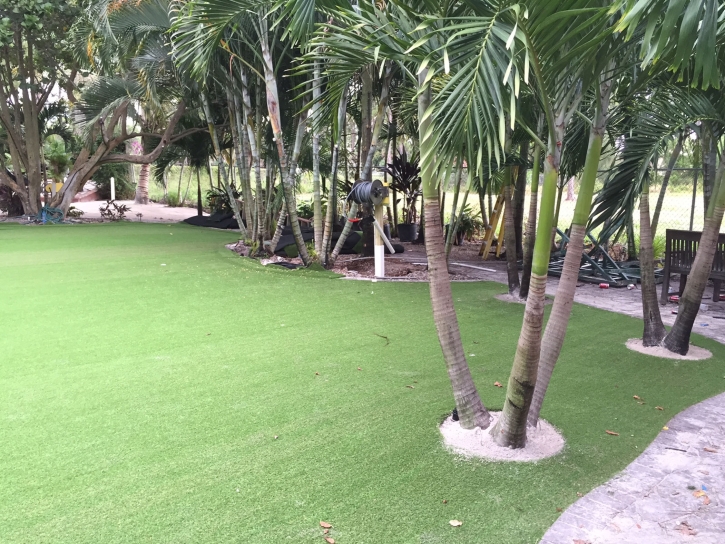 Artificial Grass Carpet Poway, California Home And Garden, Commercial Landscape