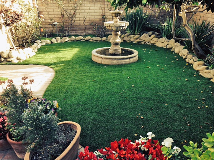 Artificial Grass Corona California Landscape Back Yard