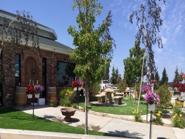 Artificial Grass Crest California Landscape Front Yard