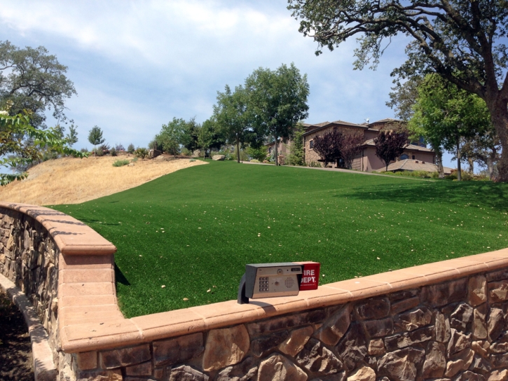 Artificial Grass East Hemet California Landscape Back Yard