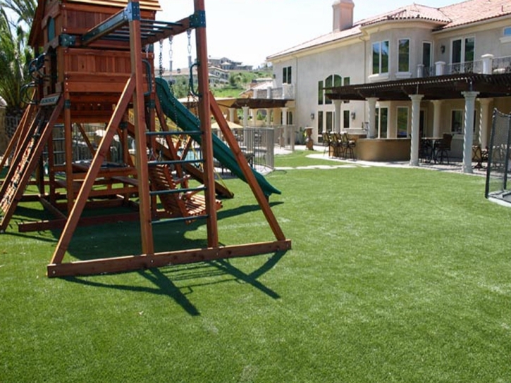 Artificial Grass Encinitas California School Back Yard