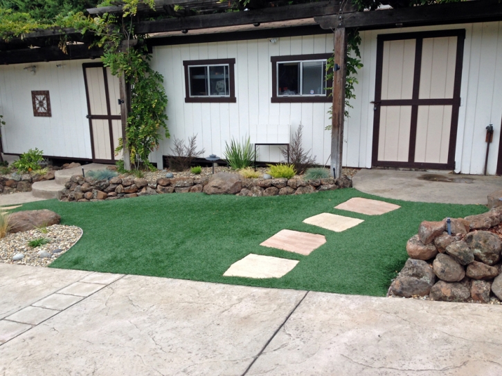 Artificial Grass Huntington Beach California Landscape Back