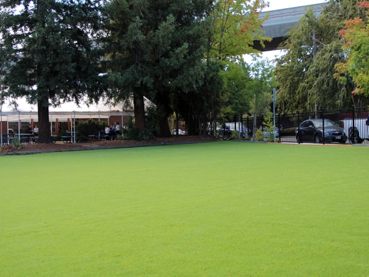 Artificial Grass Idyllwild-Pine Cove California Landscape