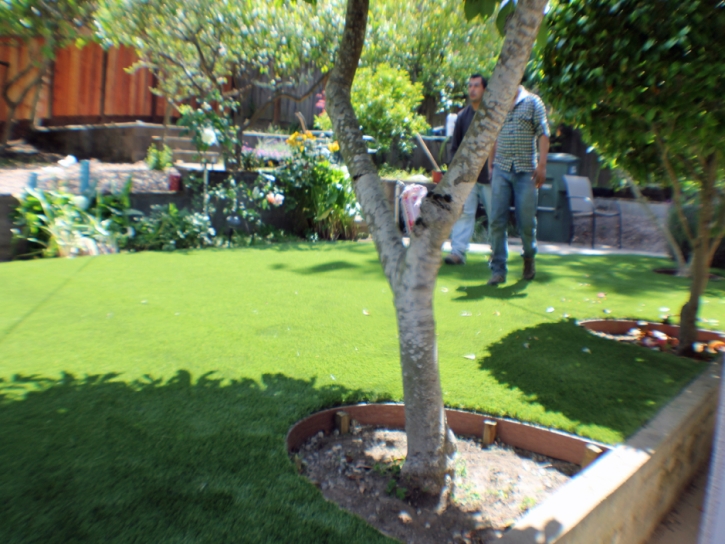 Artificial Grass La Habra California Landscape