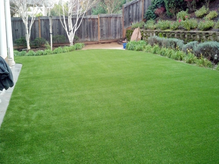 Artificial Grass Lakeland Village California Landscape Front