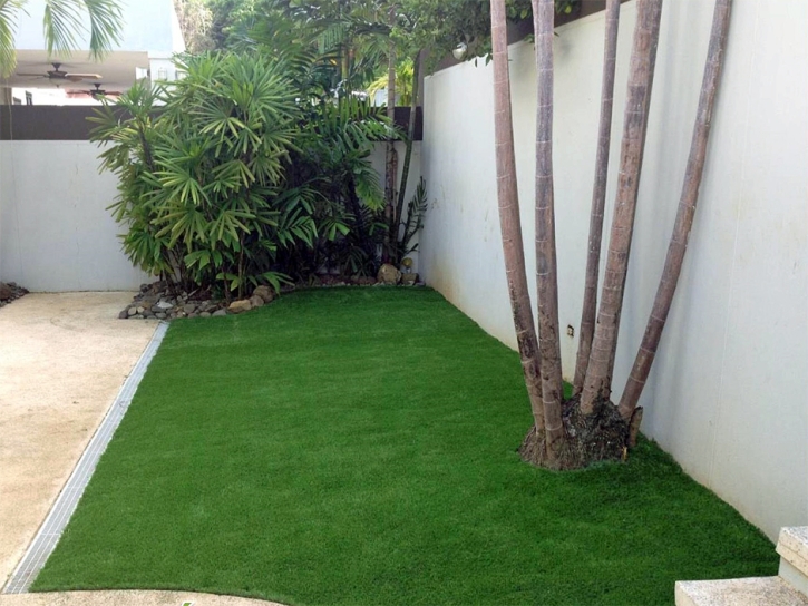 Artificial Grass Lakeview California Landscape Back Yard
