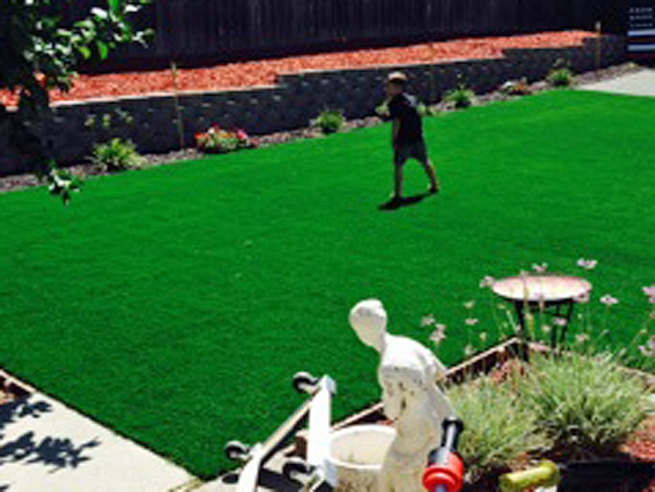 Artificial Grass Menifee California Lawn Back Yard