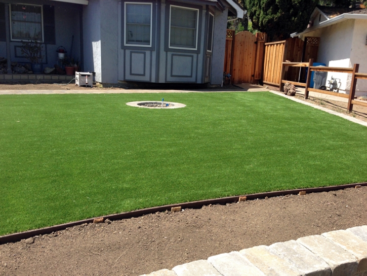 Artificial Grass Mount Laguna California Landscape Back