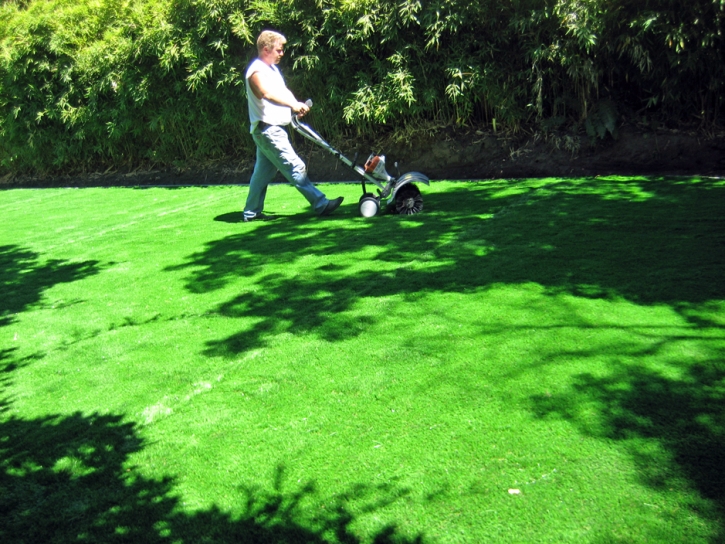 Artificial Grass Palm Desert California Lawn Front Yard