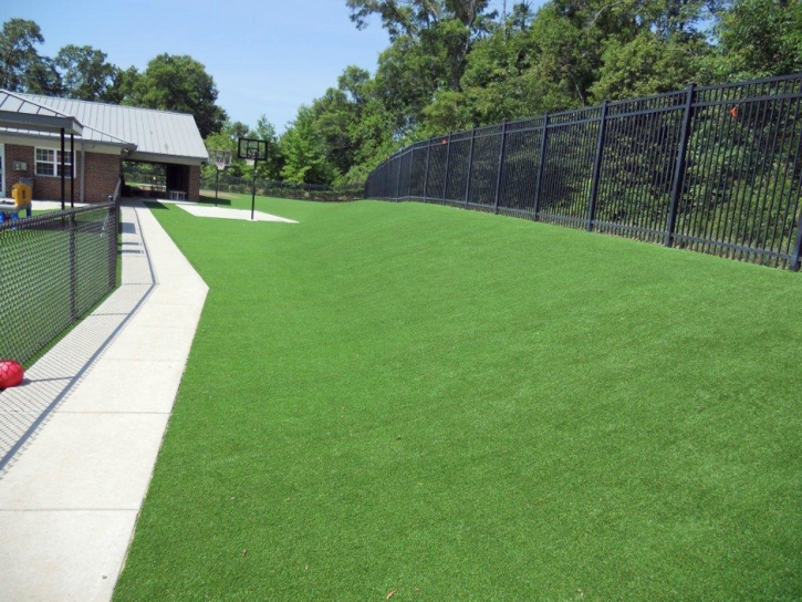 Artificial Grass Pine Valley California Landscape Back
