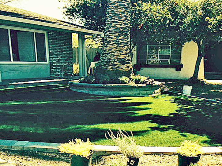 Artificial Grass Quail Valley California Landscape Back
