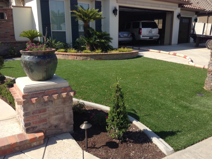 Artificial Grass Salton Sea Beach California Landscape