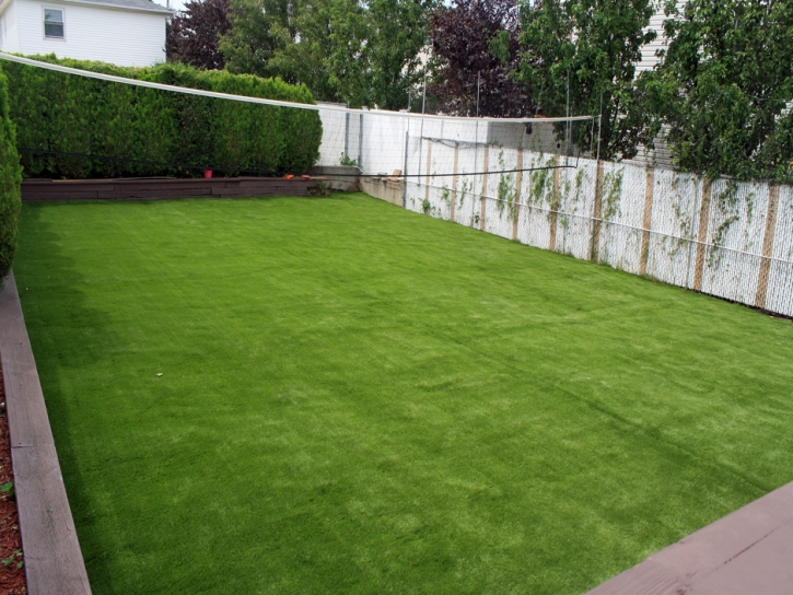 Artificial Grass San Clemente California Lawn Front Yard