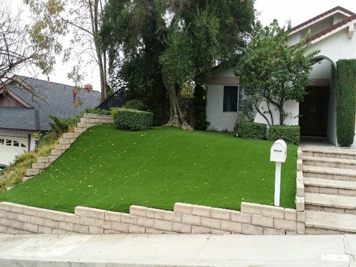 Artificial Grass San Jacinto California Landscape Commercial