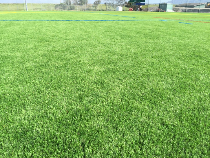 Artificial Grass Sports Fields La Habra California