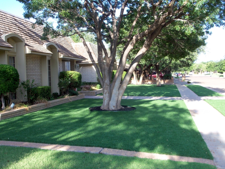 Artificial Grass Temecula California Lawn Parks