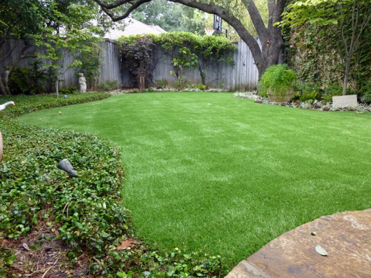 Artificial Grass Temecula California Lawn Back Yard Front