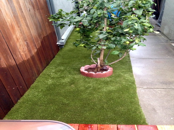 Artificial Pet Grass Desert Hot Springs California Installation