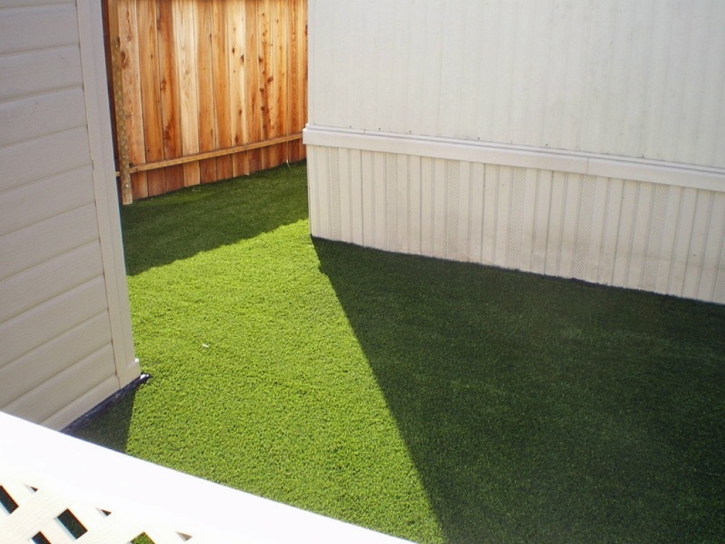 Artificial Pet Grass Fullerton California Installation Back