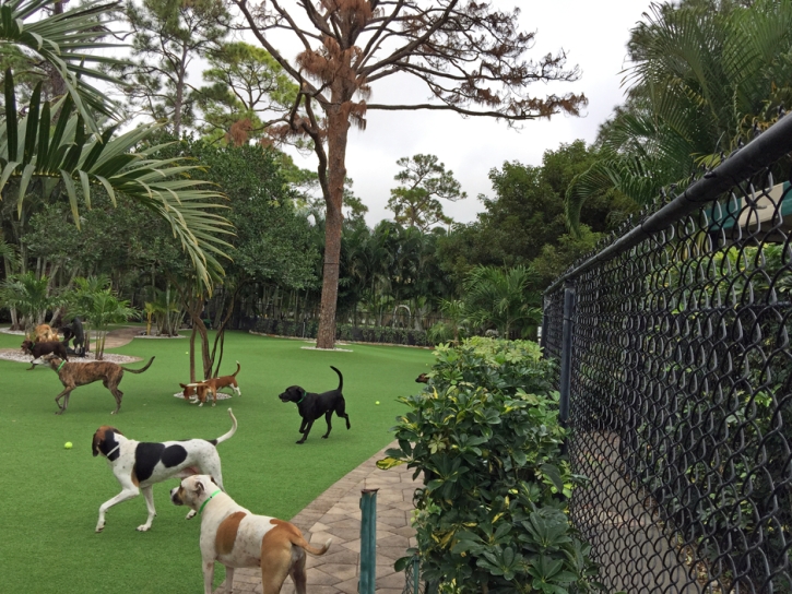 Artificial Pet Turf Imperial California Installation Back