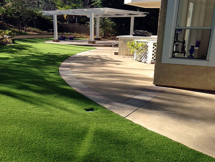 Artificial Pet Turf Valle Vista California Installation Swimming