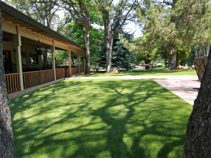 Artificial Pets Areas Anza California for Dogs Back Yard