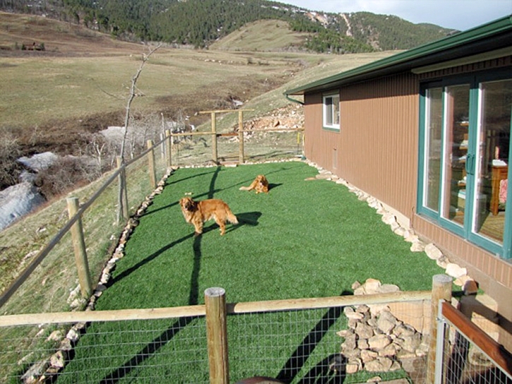Artificial Pets Areas Lakeside California for Dogs Front