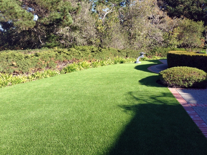Artificial Turf Boulevard California Landscape Commercial