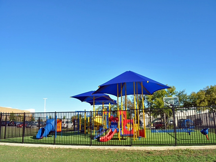 Artificial Turf Carlsbad California Playgrounds Front Yard