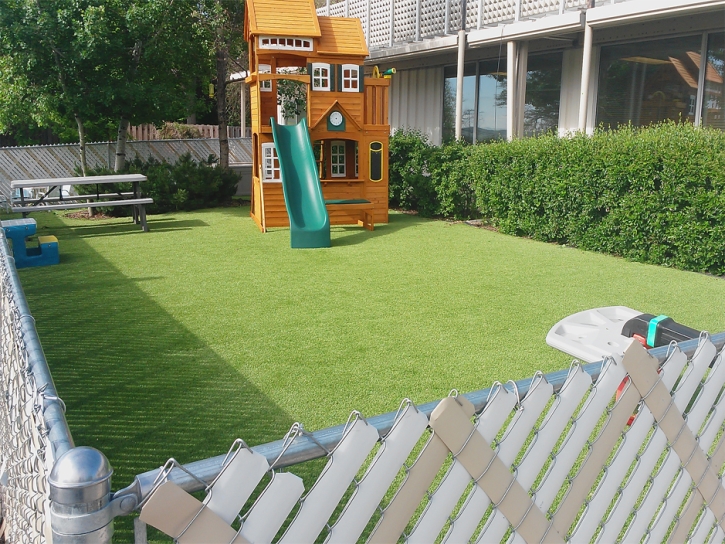 Artificial Turf Cerritos California Kindergarten Front Yard