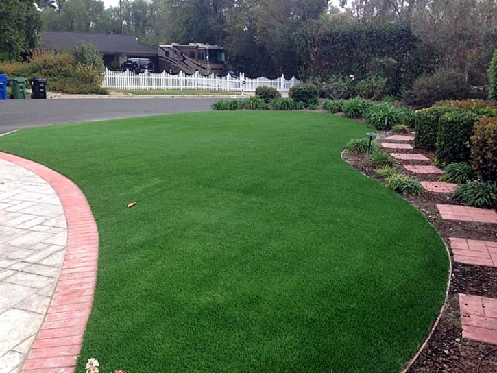 Artificial Turf Dana Point California Lawn Front Yard