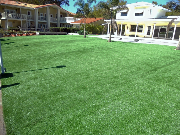 Artificial Turf Dana Point California Lawn Swimming Pools