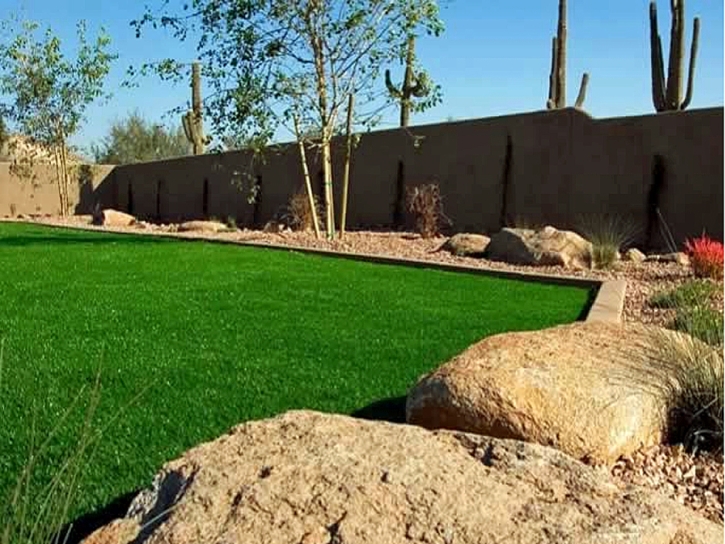 Artificial Turf Desert Shores California Landscape