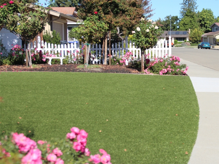Artificial Turf Desert Shores California Landscape Fountans