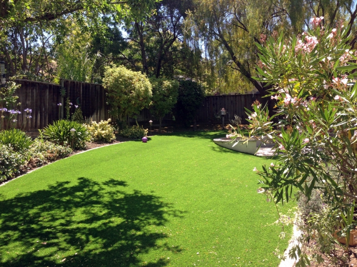 Artificial Turf Fairbanks Ranch California Landscape Dogs