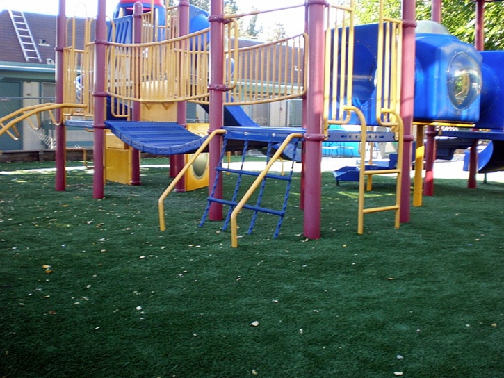 Artificial Turf Fullerton California Kids Care Back Yard