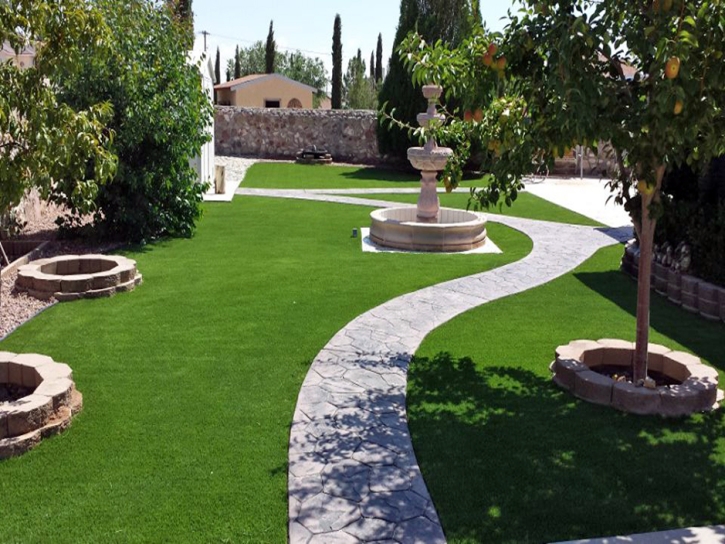 Artificial Turf Laguna Beach California Landscape Front