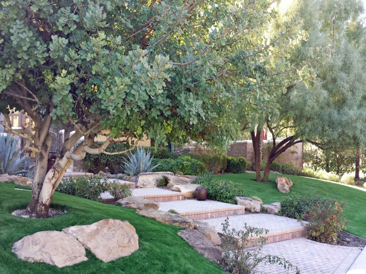 Artificial Turf Laguna Niguel California Lawn Back Yard