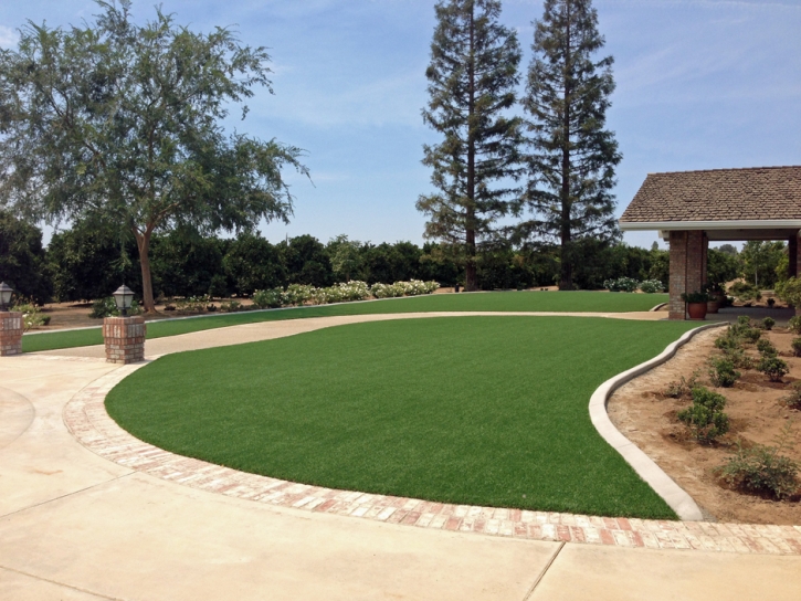 Artificial Turf Lake Forest California Landscape Back Yard
