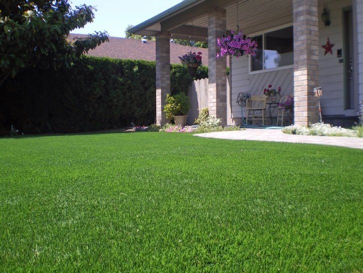 Artificial Turf Murrieta California Landscape Front Yard