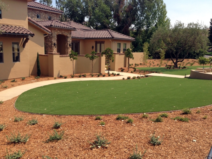 Artificial Turf Potrero California Landscape
