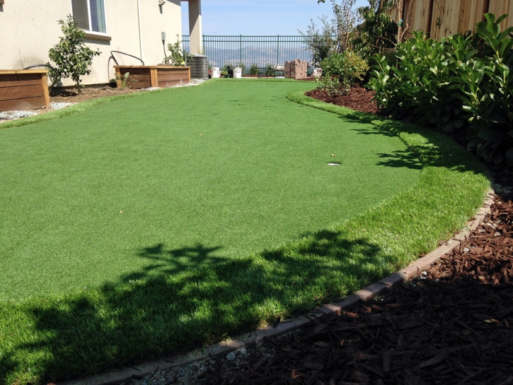 Artificial Turf Potrero California Lawn Front Yard