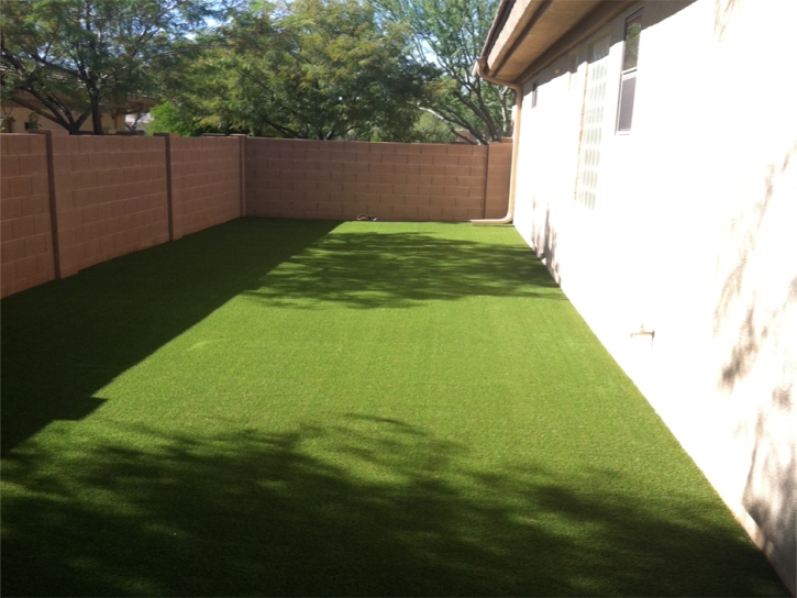 Artificial Turf Rancho Mirage California Landscape Back