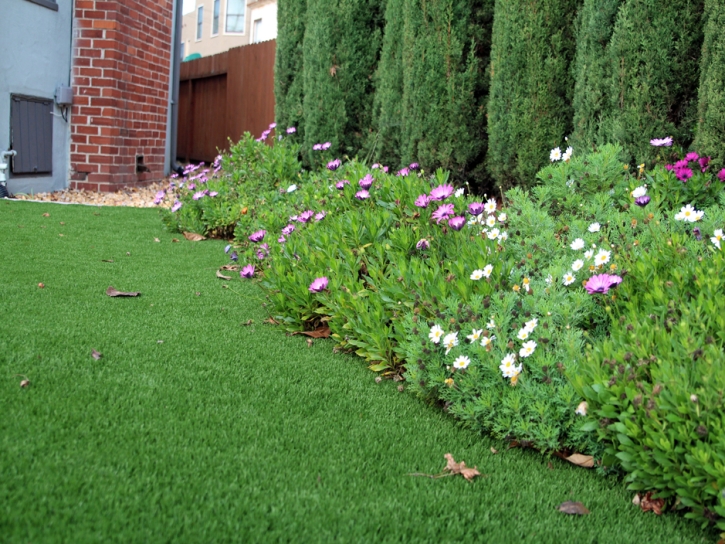 Artificial Turf Redlands California Landscape Front Yard